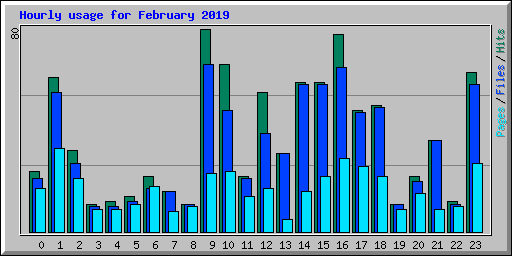 Hourly usage for February 2019