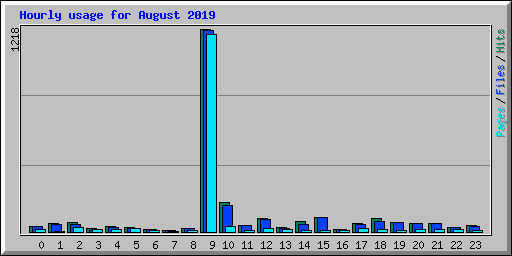 Hourly usage for August 2019