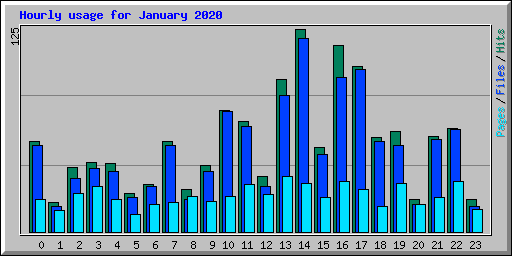 Hourly usage for January 2020
